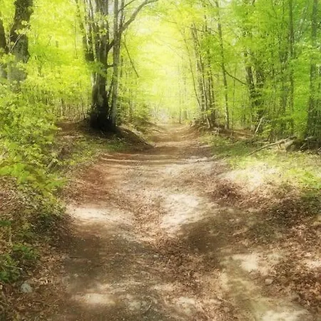 Kuca Za Odmor Starcevic *