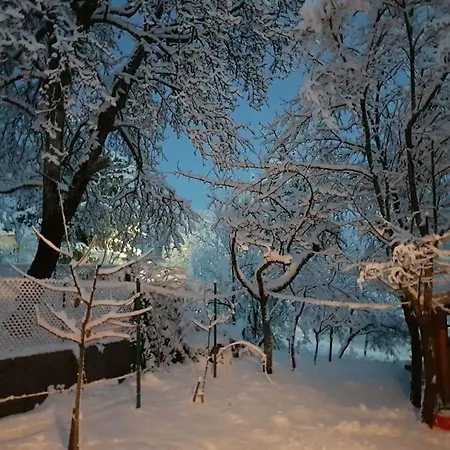 Holiday home Kuca Za Odmor Starcevic *
