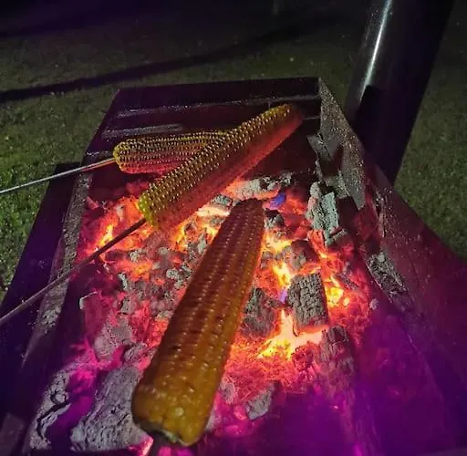 Kuca Za Odmor Starcevic Brod Moravice